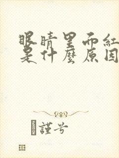 眼睛里面红血丝是什么原因造成的