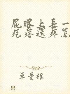 屁眼上长一个肉疙瘩还疼怎么回事