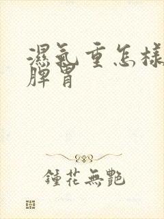 湿气重怎样调理脾胃