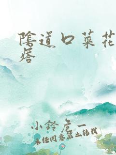 阴道口菜花状疙瘩