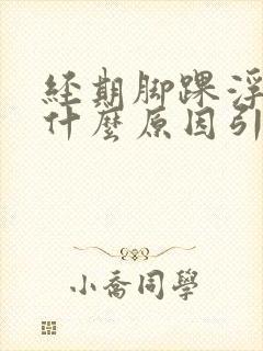 经期脚踝浮肿是什么原因引起的