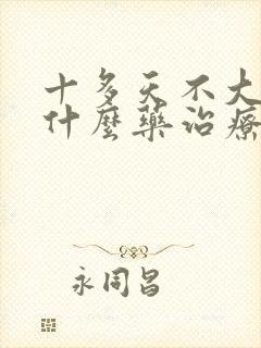 十多天不大便吃什么药治疗