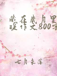 藏在岁月里的温暖作文800字初中