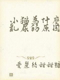 小猫为什么乱拉乱尿的原因呢