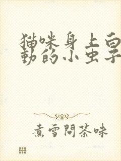 猫咪身上白色蠕动的小虫子是什么