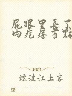 屁眼里长了一个肉疙瘩有点痒