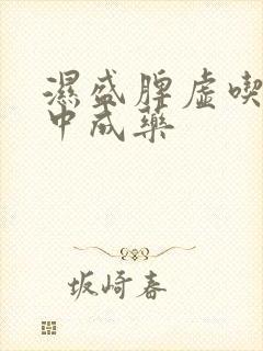 湿盛脾虚吃什么中成药