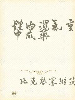 体内湿气重吃啥中成药