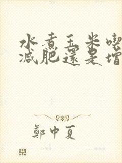 水煮玉米吃了是减肥还是增肥的