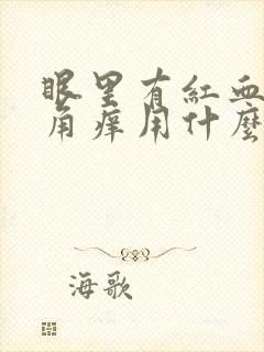 眼里有红血丝眼角痒用什么眼药水