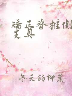 矫正脊椎侧弯的支具