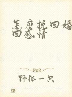 怎么挽回婚姻挽回感情