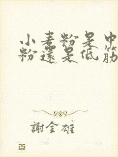 小麦粉是中筋面粉还是低筋面粉