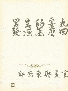 男生的睾丸如果发凉怎么回事