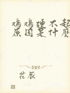 鸡鸡硬不起来的原因是什么