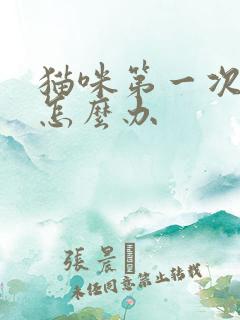 猫咪第一次乱尿怎么办