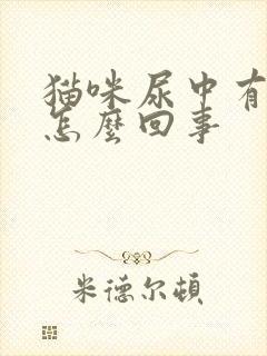 猫咪尿中有血是怎么回事