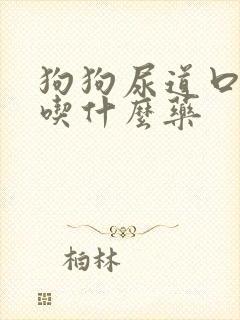 狗狗尿道口滴血吃什么药