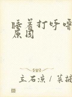 睡着打呼噜什么原因