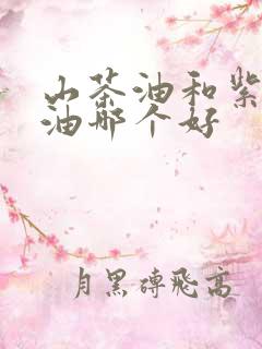 山茶油和紫苏籽油哪个好