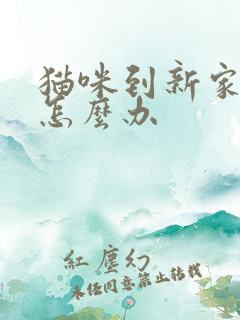 猫咪到新家乱尿怎么办