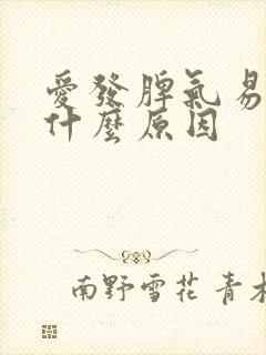 爱发脾气易怒是什么原因