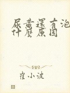 尿黄还有泡沫是什么原因