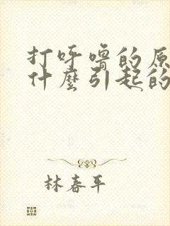 打呼噜的原因是什么引起的