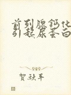 前列腺钙化灶会引起尿蛋白吗