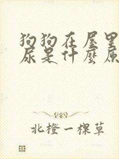 狗狗在屋里拉拉尿是什么原因