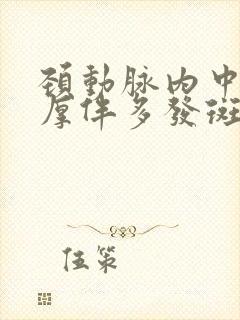 颈动脉内中膜增厚伴多发斑块形成