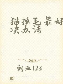 猫掉毛最好的解决办法