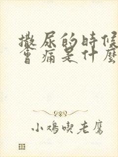 撒尿的时候尿道会痛是什么原因