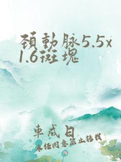 颈动脉5.5x1.6斑块
