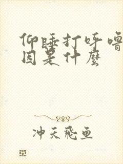 仰睡打呼噜的原因是什么