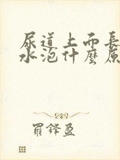 尿道上面长了小水泡什么原因