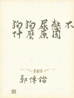 狗狗尿憋不住是什么原因