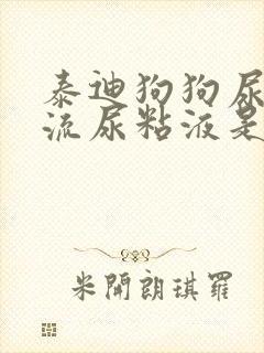 泰迪狗狗尿道口流尿粘液是咋回事