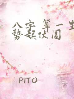 八字 算一生运势起伏图