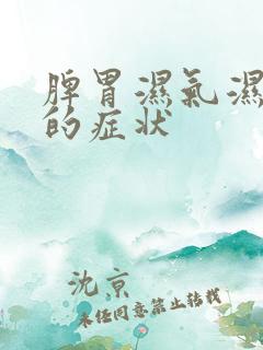 脾胃湿气湿热重的症状