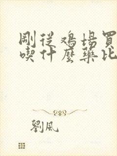 刚从鸡场买鸡要吃什么药比较好