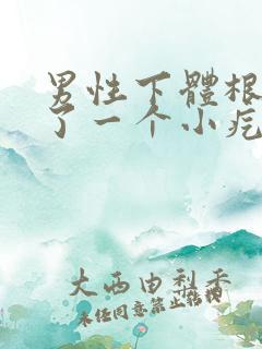 男性下体根部长了一个小疙瘩