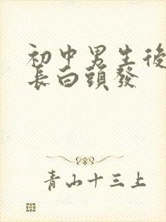 初中男生后脑勺长白头发