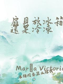 扇贝放冰箱冷藏还是冷冻