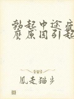 勃起中途疲软什么原因引起的