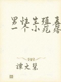 男性生殖表皮有一个小疙瘩是怎么回事