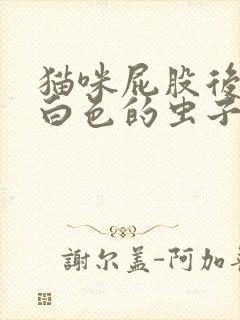 猫咪屁股后面有白色的虫子是怎么回事