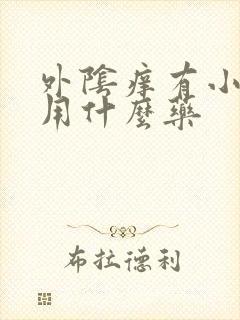 外阴痒有小疙瘩用什么药