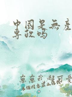 中国是无产阶级专政吗