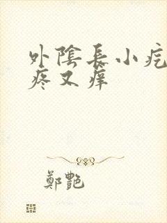 外阴长小疙瘩又疼又痒